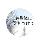 空の実写スタンプ⭐︎挨拶・敬語・気遣い（個別スタンプ：38）