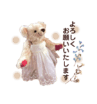 R＆C Teddy Bear（個別スタンプ：20）