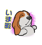 バセットハウンド(犬) 48（個別スタンプ：4）