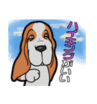 バセットハウンド(犬) 48（個別スタンプ：10）