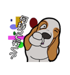 バセットハウンド(犬) 48（個別スタンプ：11）