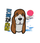 バセットハウンド(犬) 48（個別スタンプ：16）