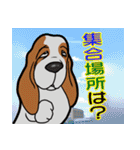 バセットハウンド(犬) 48（個別スタンプ：24）