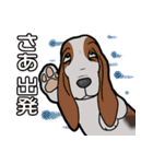 バセットハウンド(犬) 48（個別スタンプ：25）