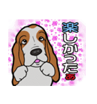 バセットハウンド(犬) 48（個別スタンプ：34）