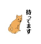 柴犬のゆるいイラスト（個別スタンプ：2）