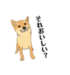 柴犬のゆるいイラスト（個別スタンプ：9）