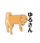 柴犬のゆるいイラスト（個別スタンプ：10）