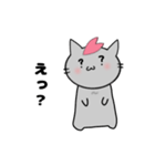 推し活ねこ[さくら]／日常で使える（個別スタンプ：20）