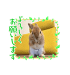 ルナルー2.（個別スタンプ：1）