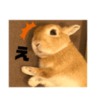ルナルー2.（個別スタンプ：6）