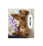 ルナルー2.（個別スタンプ：7）