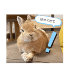 ルナルー2.（個別スタンプ：8）