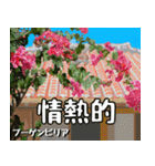 沖縄の花大好き10。花の島沖縄行きたい。（個別スタンプ：7）