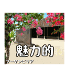 沖縄の花大好き10。花の島沖縄行きたい。（個別スタンプ：8）