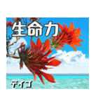 沖縄の花大好き10。花の島沖縄行きたい。（個別スタンプ：13）