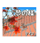 沖縄の花大好き10。花の島沖縄行きたい。（個別スタンプ：14）