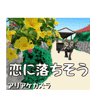 沖縄の花大好き10。花の島沖縄行きたい。（個別スタンプ：16）