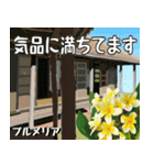 沖縄の花大好き10。花の島沖縄行きたい。（個別スタンプ：18）