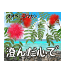 沖縄の花大好き10。花の島沖縄行きたい。（個別スタンプ：22）