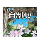 沖縄の花大好き10。花の島沖縄行きたい。（個別スタンプ：26）