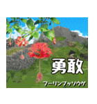 沖縄の花大好き10。花の島沖縄行きたい。（個別スタンプ：33）