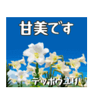 沖縄の花大好き10。花の島沖縄行きたい。（個別スタンプ：36）