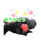 ひだまり☀️（個別スタンプ：1）