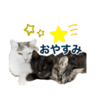 ひだまり☀️（個別スタンプ：10）