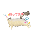 ひだまり☀️（個別スタンプ：11）