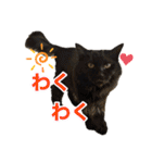 ひだまり☀️（個別スタンプ：14）