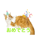 ひだまり☀️（個別スタンプ：18）