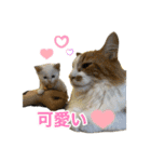 ひだまり☀️（個別スタンプ：21）