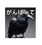 おしゃべりなカラス（個別スタンプ：11）