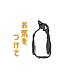 【シンプル・丁寧】毎日使える挨拶ペンギン（個別スタンプ：10）