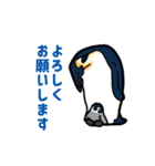 【シンプル・丁寧】毎日使える挨拶ペンギン（個別スタンプ：17）