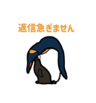 【シンプル・丁寧】毎日使える挨拶ペンギン（個別スタンプ：19）