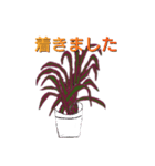 LUV PLANTS（個別スタンプ：1）