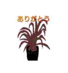 LUV PLANTS（個別スタンプ：6）