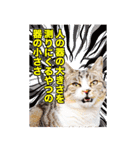 西成のたくましいネコ達（個別スタンプ：9）