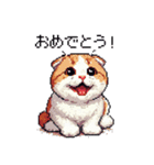 ドット絵 スコティッシュフォールド 白茶（個別スタンプ：13）