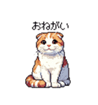 ドット絵 スコティッシュフォールド 白茶（個別スタンプ：15）