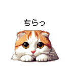 ドット絵 スコティッシュフォールド 白茶（個別スタンプ：31）