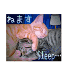 Johnny ＆ Chocola ＆ かりん ⑫（個別スタンプ：4）