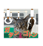 Johnny ＆ Chocola ＆ かりん ⑫（個別スタンプ：7）