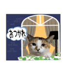 Johnny ＆ Chocola ＆ かりん ⑫（個別スタンプ：10）