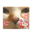 Johnny ＆ Chocola ＆ かりん ⑫（個別スタンプ：18）