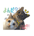 Johnny ＆ Chocola ＆ かりん ⑫（個別スタンプ：24）
