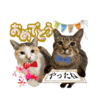 Johnny ＆ Chocola ＆ かりん ⑫（個別スタンプ：25）