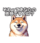 ⚫煽り散らかすうざいだるい柴犬 (ドット絵)（個別スタンプ：3）